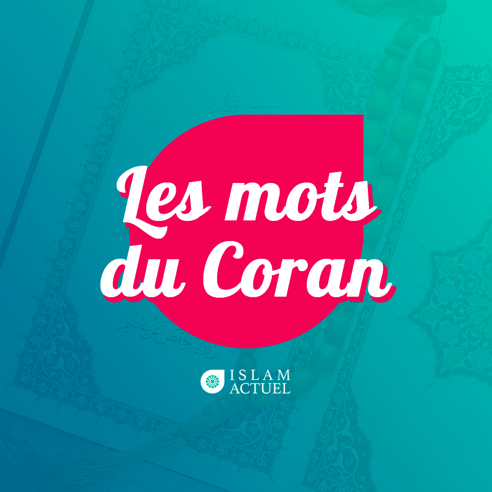 Featured image for “Les mots du Coran”